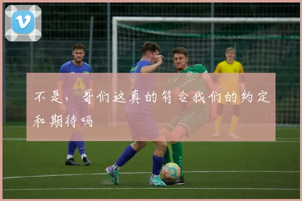 不是，哥们这真的符合我们的约定和期待吗